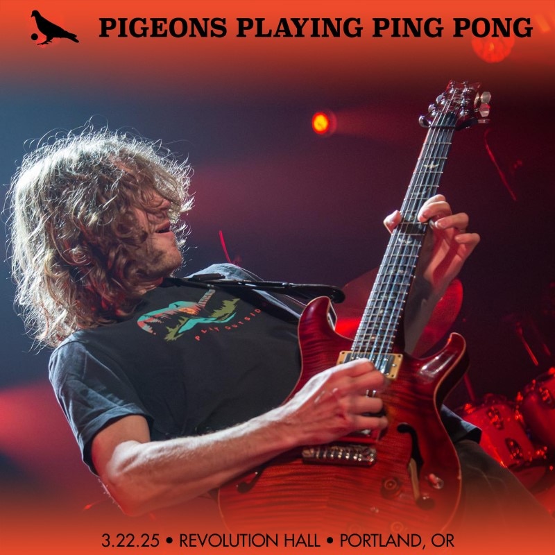 Pigeons Playing Ping Pong