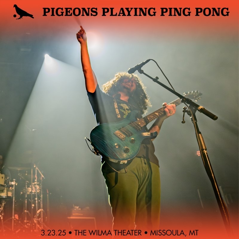 Pigeons Playing Ping Pong