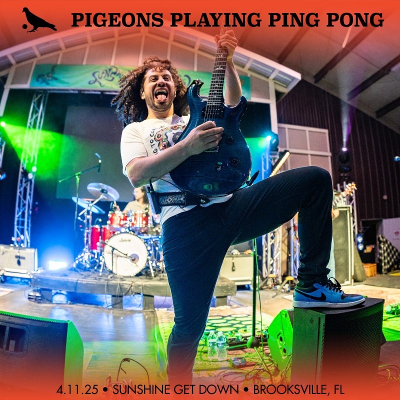 Pigeons Playing Ping Pong