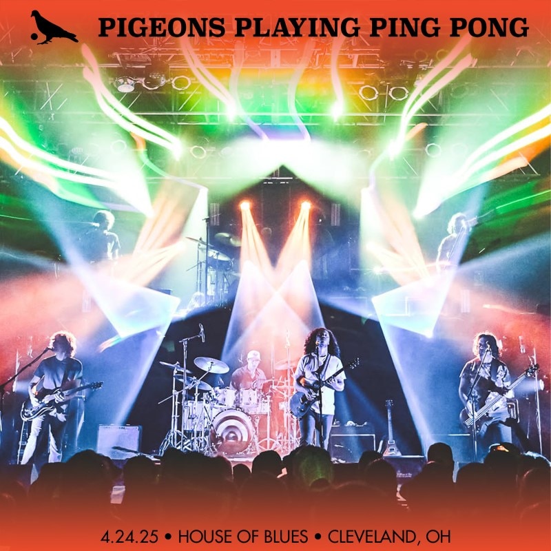 Pigeons Playing Ping Pong