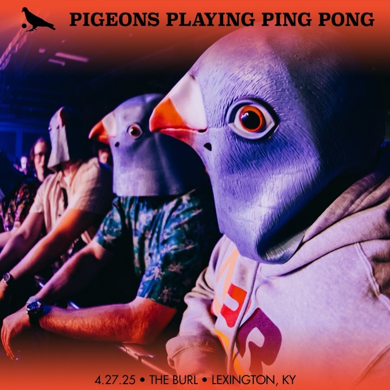 Pigeons Playing Ping Pong
