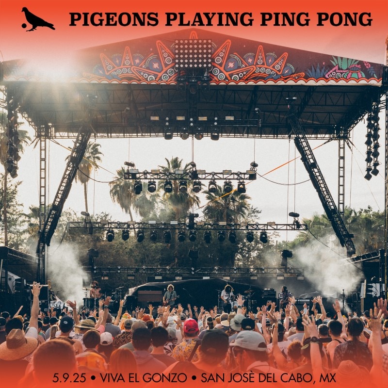 Pigeons Playing Ping Pong