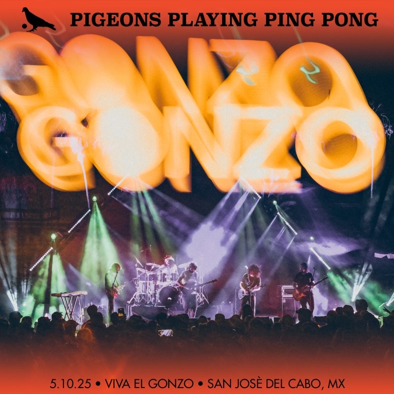 Pigeons Playing Ping Pong