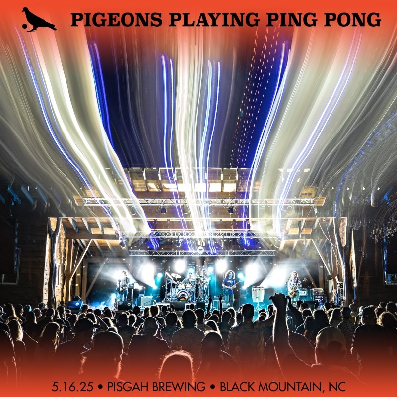 Pigeons Playing Ping Pong