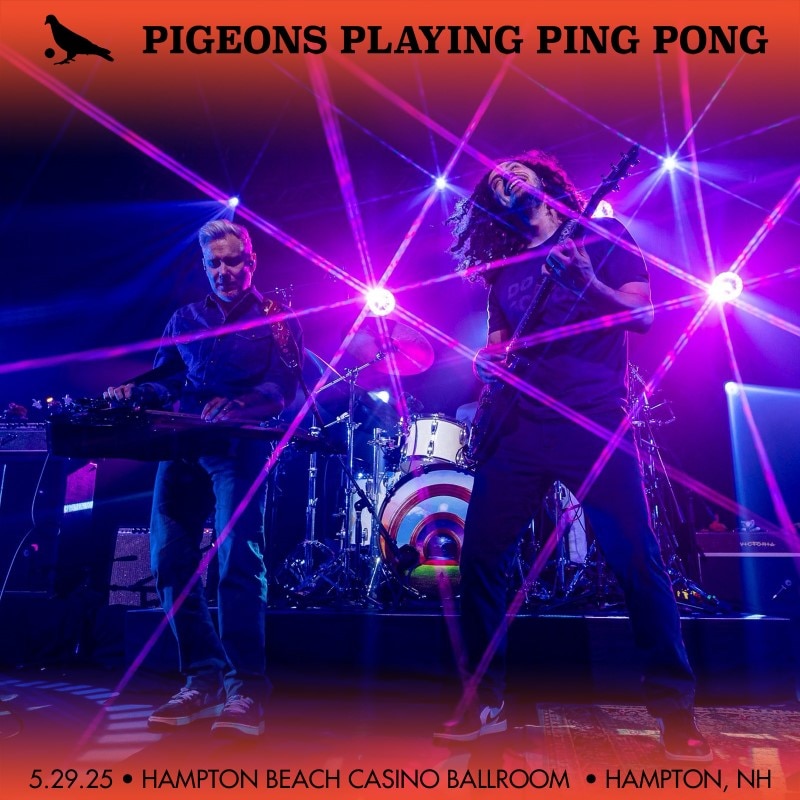 Pigeons Playing Ping Pong