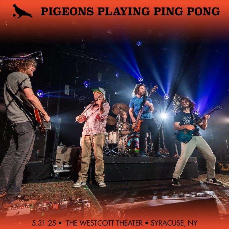 Pigeons Playing Ping Pong