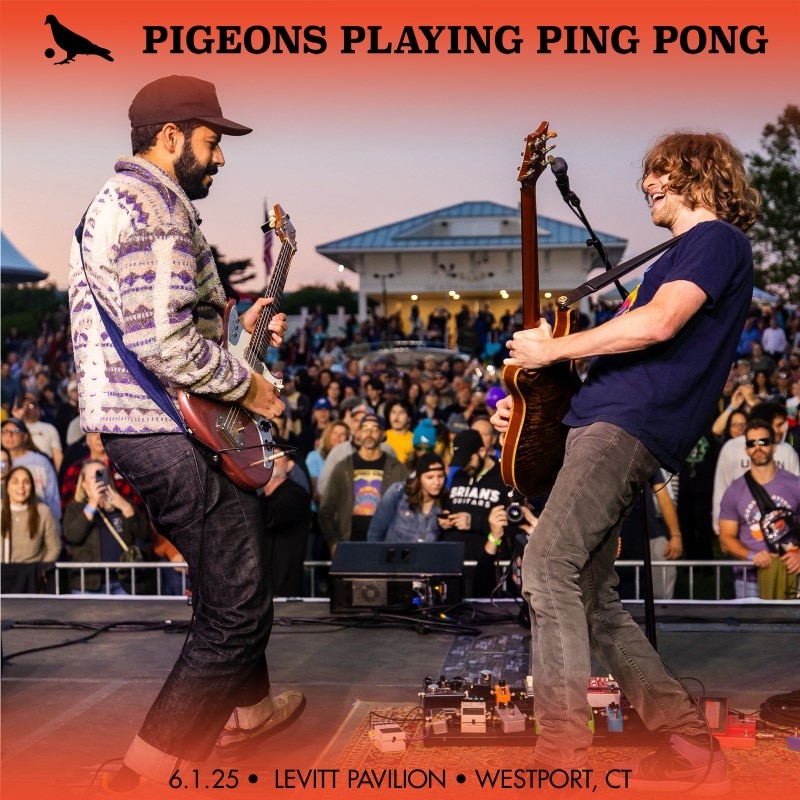 Pigeons Playing Ping Pong