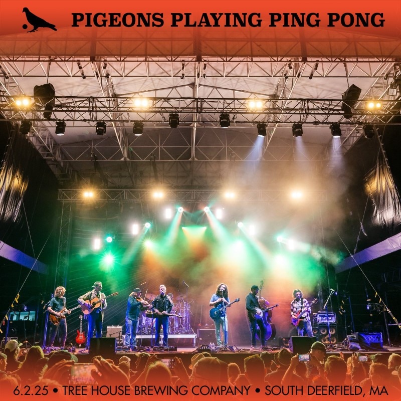 Pigeons Playing Ping Pong