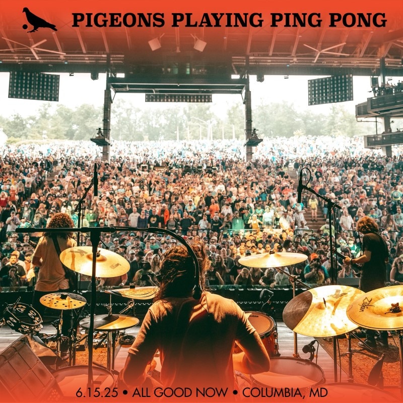 Pigeons Playing Ping Pong