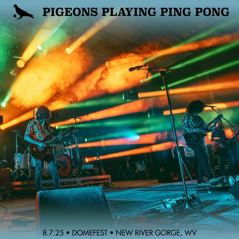 Pigeons Playing Ping Pong