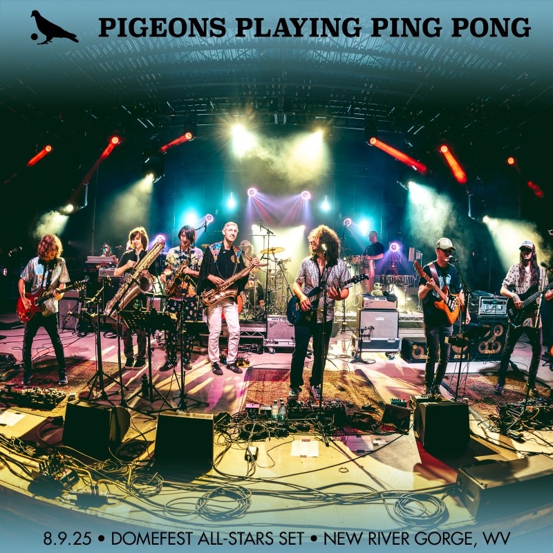 Pigeons Playing Ping Pong