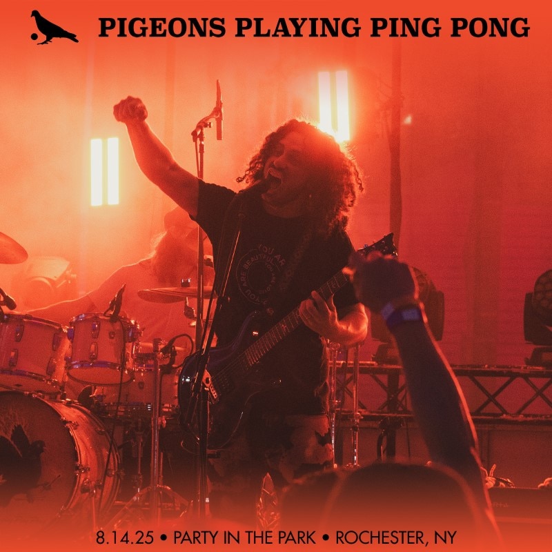 Pigeons Playing Ping Pong