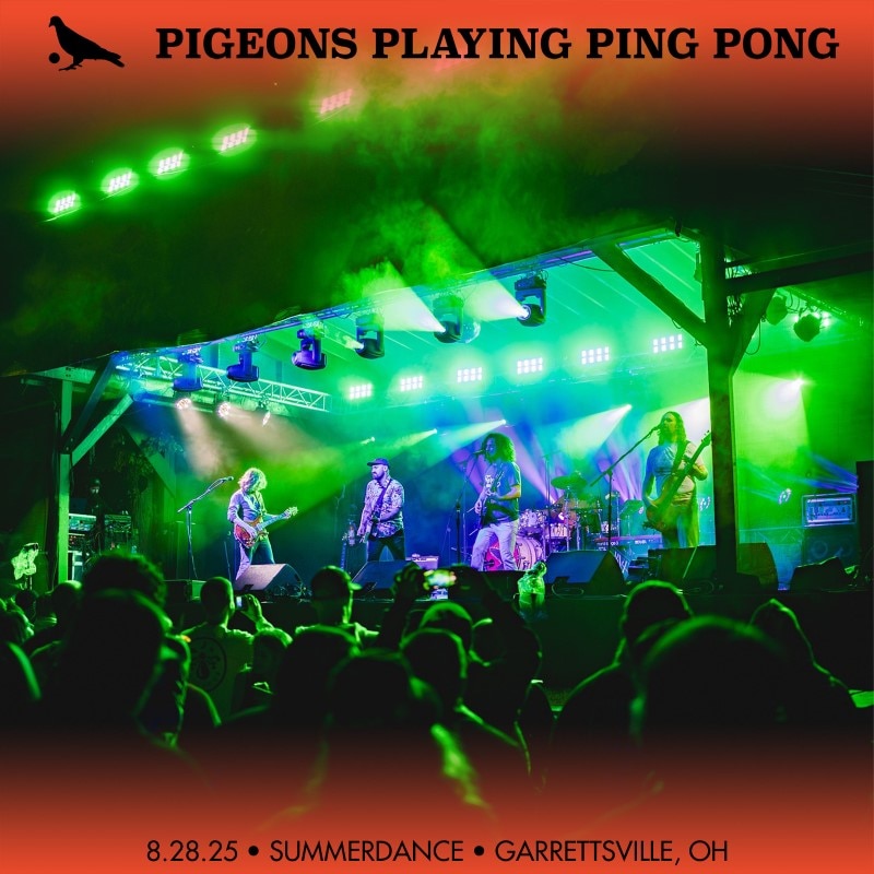 Pigeons Playing Ping Pong