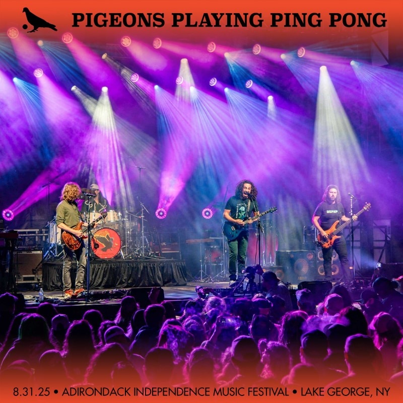 Pigeons Playing Ping Pong