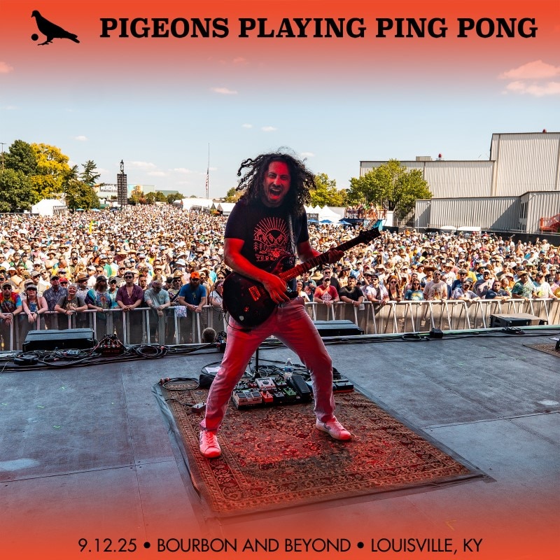 Pigeons Playing Ping Pong