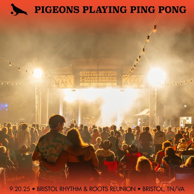 Pigeons Playing Ping Pong