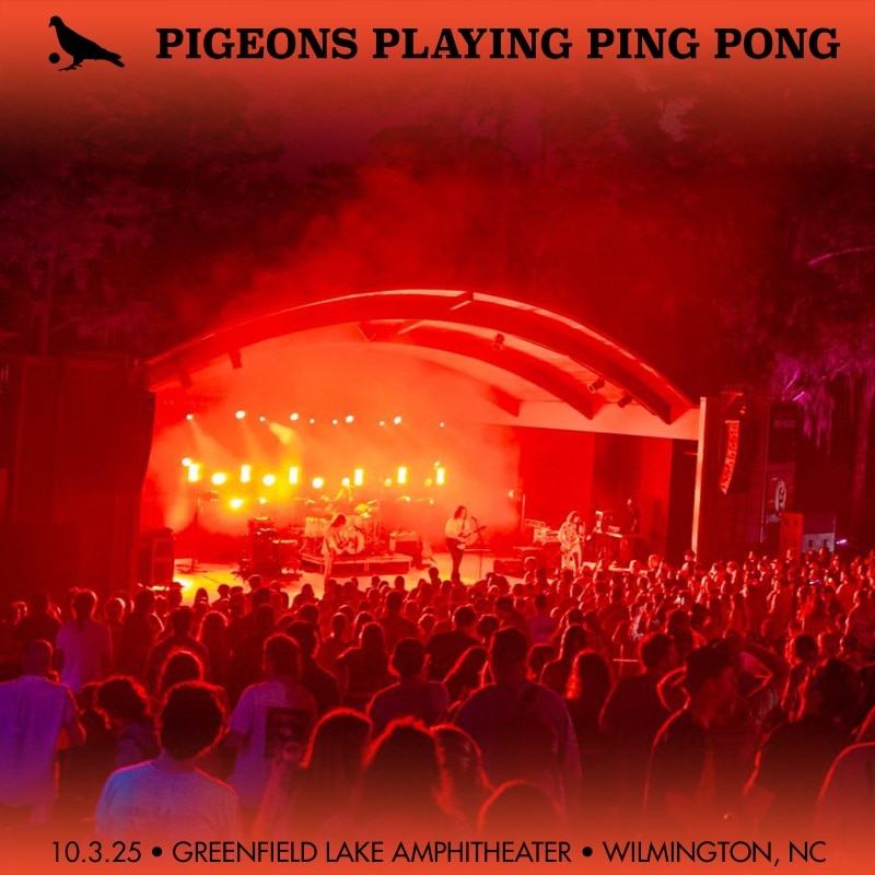 Pigeons Playing Ping Pong