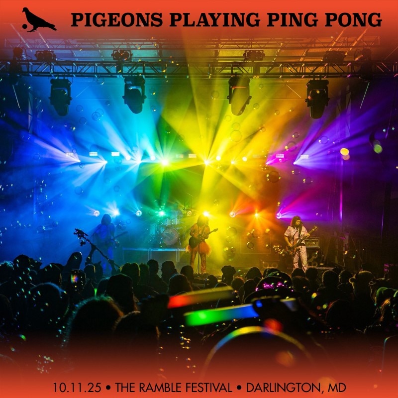 Pigeons Playing Ping Pong