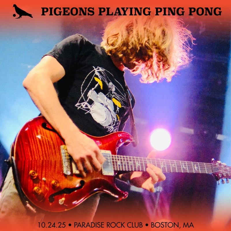 Pigeons Playing Ping Pong