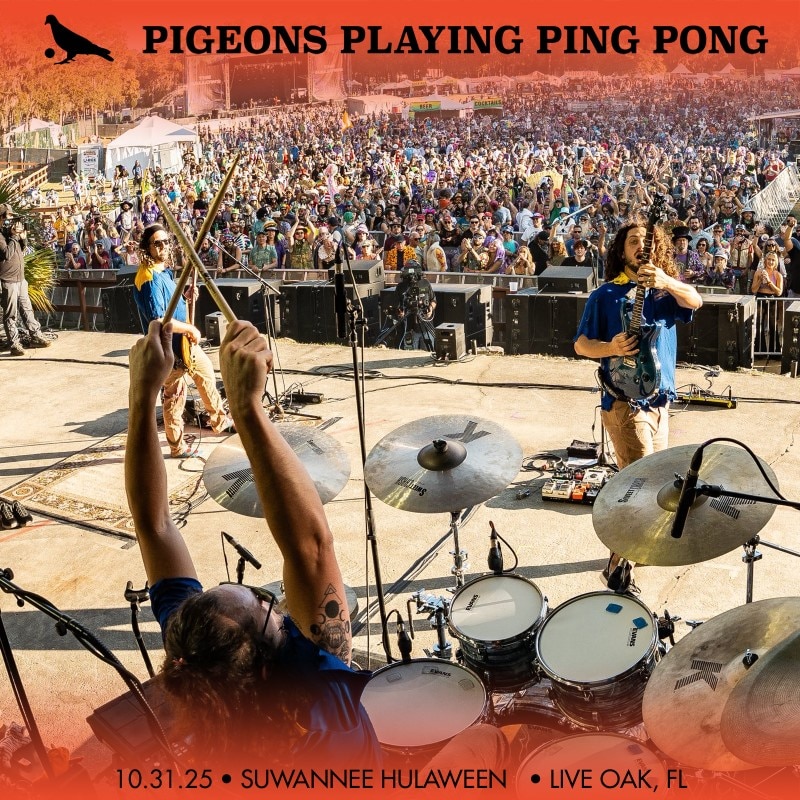 Pigeons Playing Ping Pong