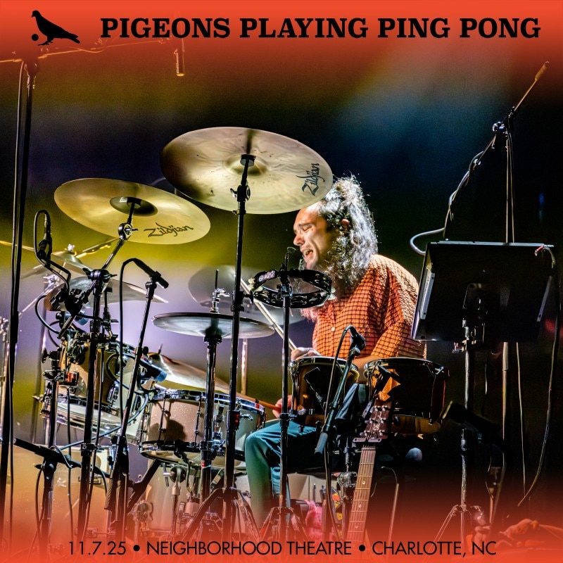 Pigeons Playing Ping Pong