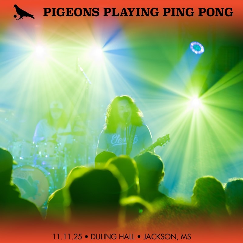 Pigeons Playing Ping Pong