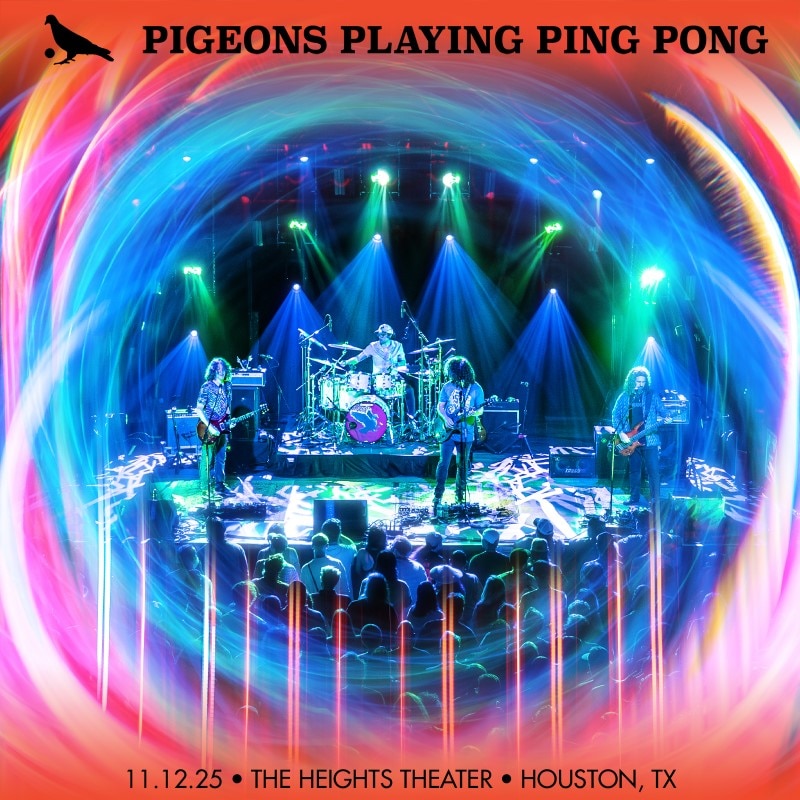 Pigeons Playing Ping Pong