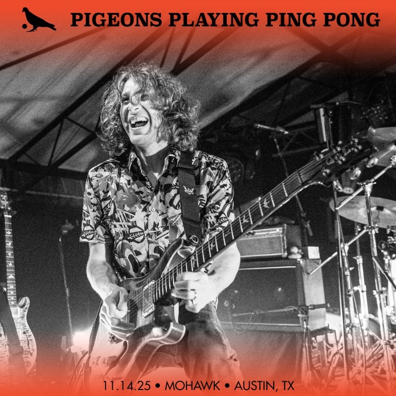 Pigeons Playing Ping Pong