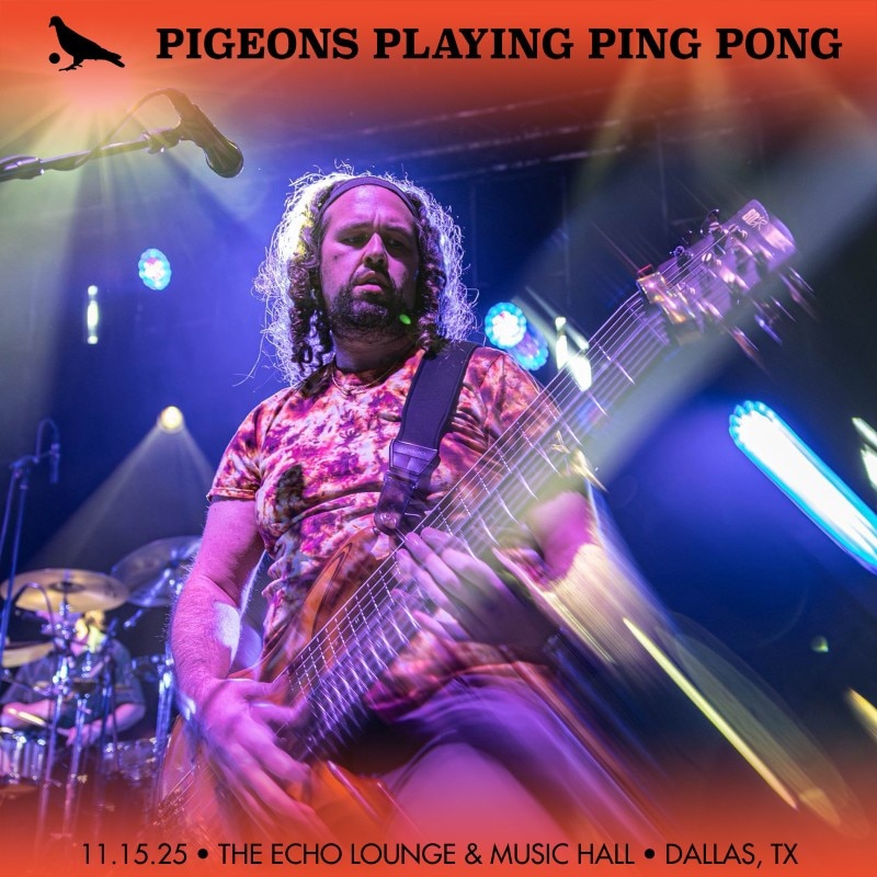 Pigeons Playing Ping Pong