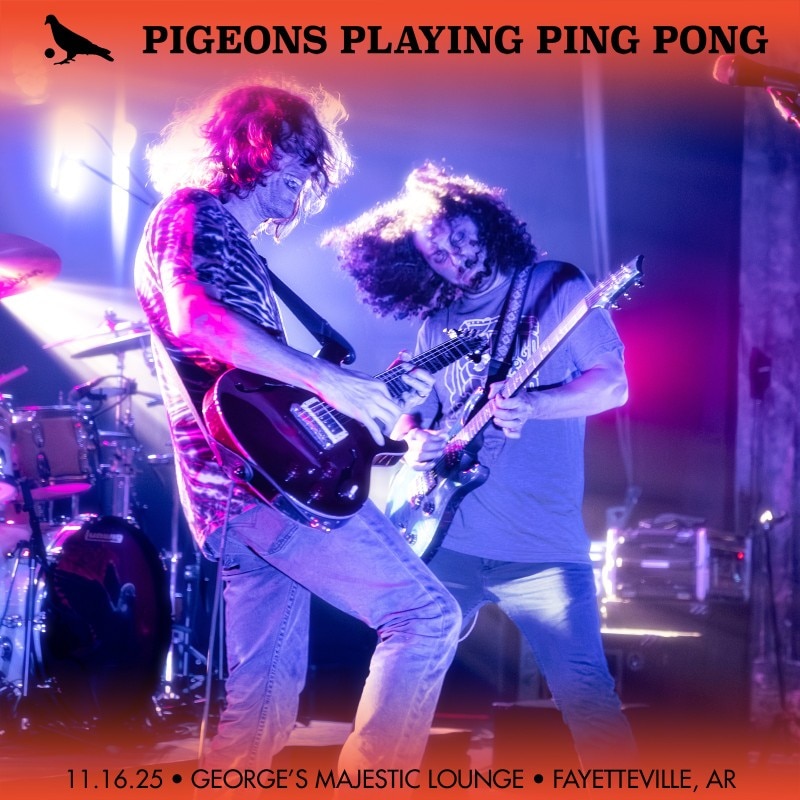 Pigeons Playing Ping Pong