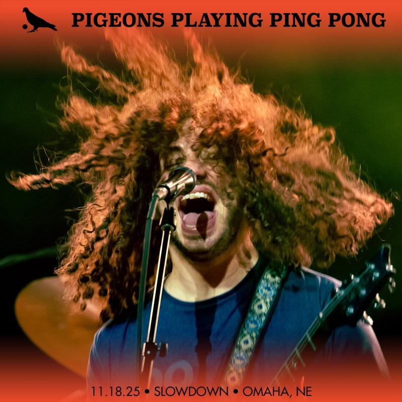 Pigeons Playing Ping Pong