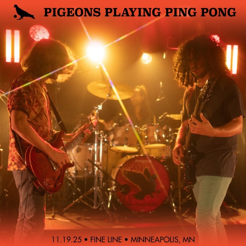 Pigeons Playing Ping Pong