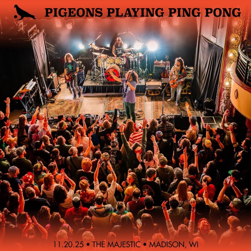 Pigeons Playing Ping Pong