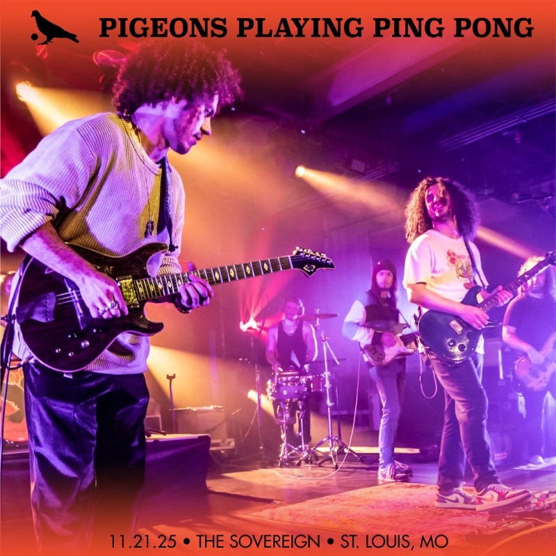 Pigeons Playing Ping Pong