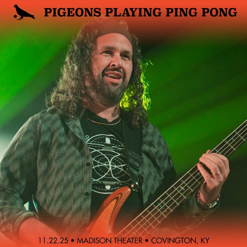 Pigeons Playing Ping Pong