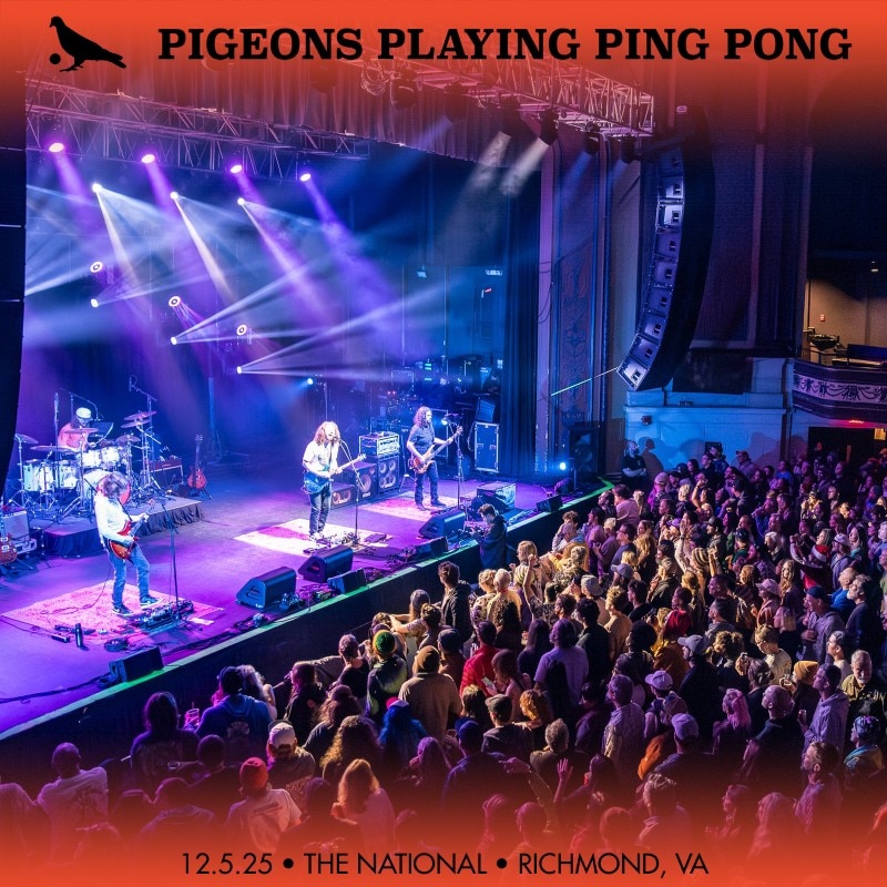 Pigeons Playing Ping Pong