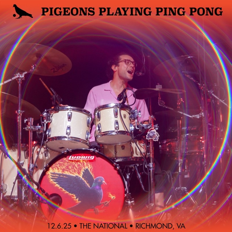 Pigeons Playing Ping Pong