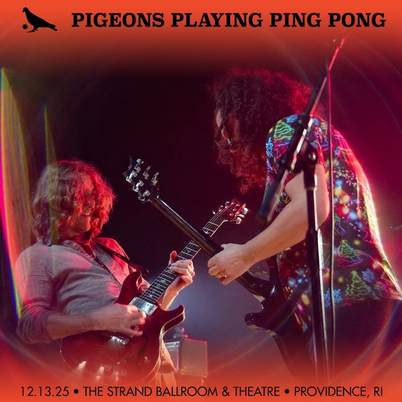 Pigeons Playing Ping Pong