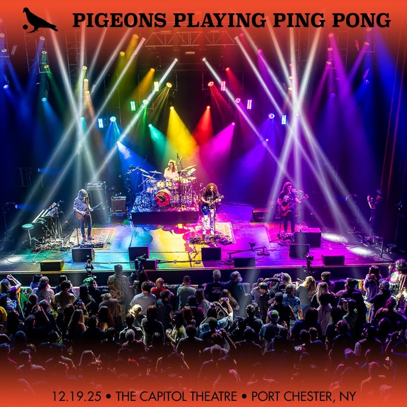 Pigeons Playing Ping Pong