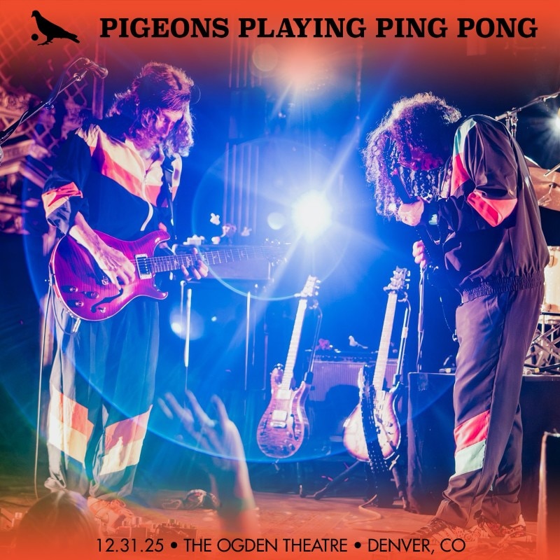 Pigeons Playing Ping Pong