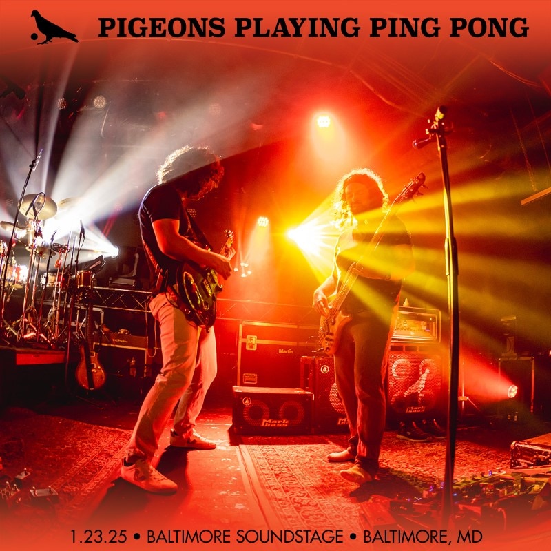 Pigeons Playing Ping Pong