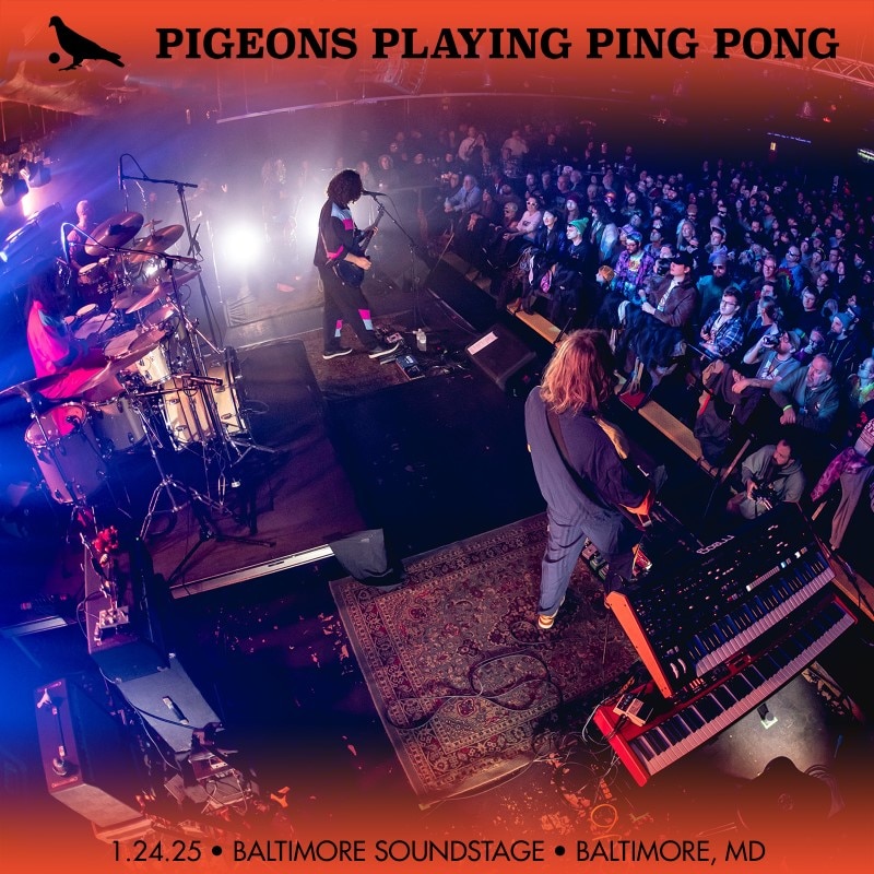 Pigeons Playing Ping Pong