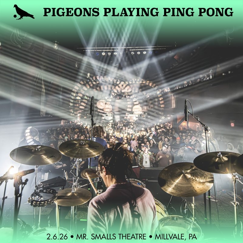 Pigeons Playing Ping Pong