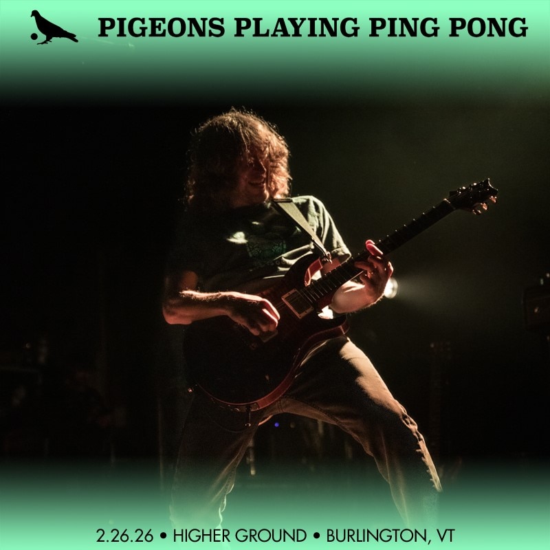 Pigeons Playing Ping Pong