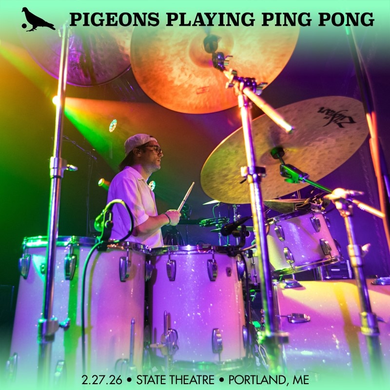 Pigeons Playing Ping Pong