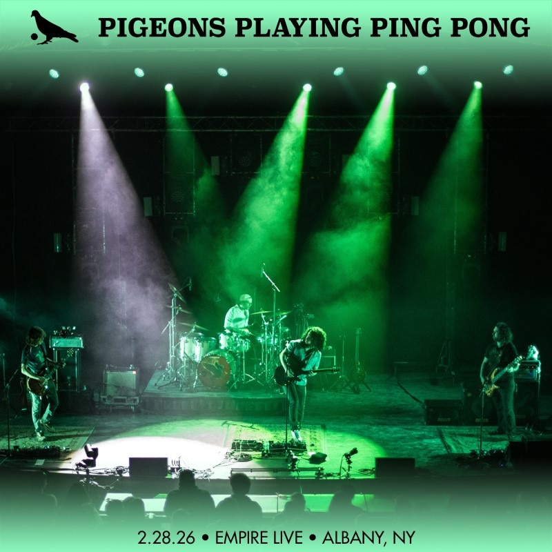Pigeons Playing Ping Pong