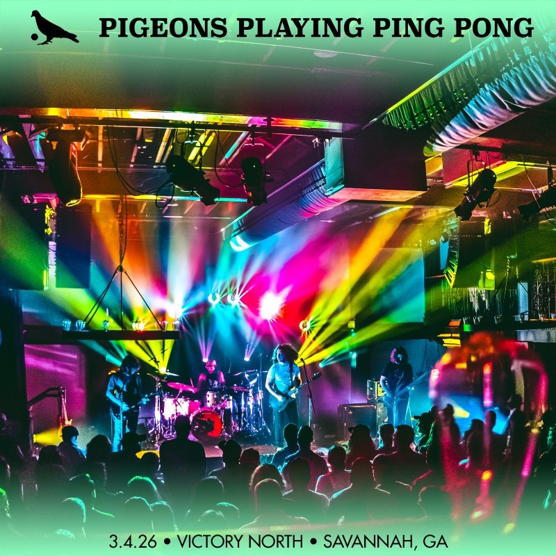 Pigeons Playing Ping Pong