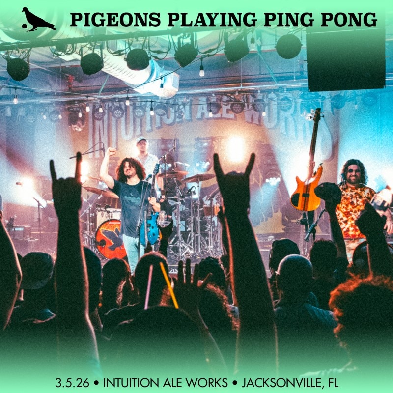 Pigeons Playing Ping Pong