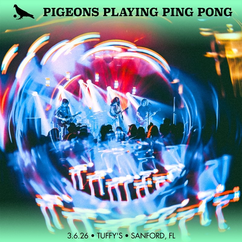 Pigeons Playing Ping Pong