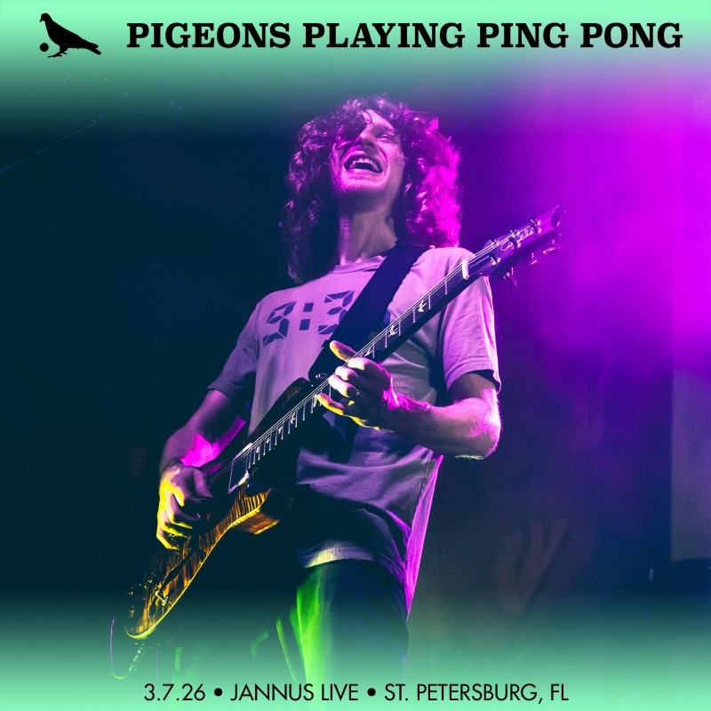 Pigeons Playing Ping Pong